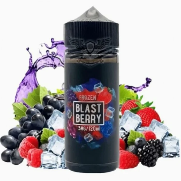 Sams Vape Frozen Blast Berry E-Liquid 120ML